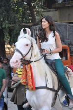 Ileana D Cruz snapped riding horse for Phata Poster Nikla Hero in Mehboob, Mumbai on 24th Jan 2013 (8).JPG